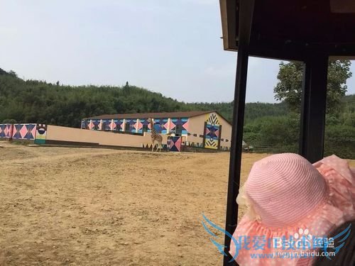 野生动物园的旅游攻略