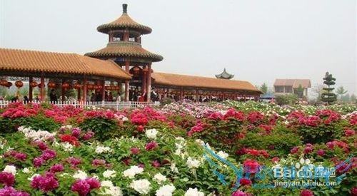 怎么在菏泽城区旅游