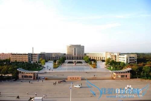 怎么在菏泽城区旅游