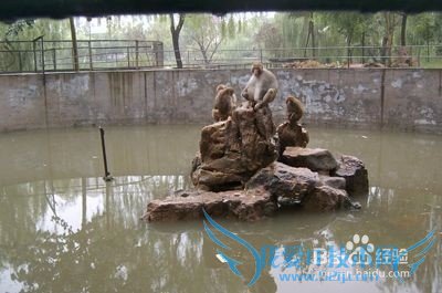 怎么在菏泽城区旅游