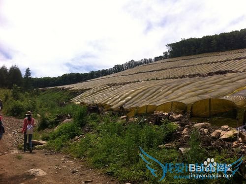 本溪洋湖沟森林公园旅游攻略