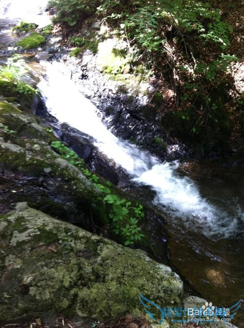 本溪洋湖沟森林公园旅游攻略