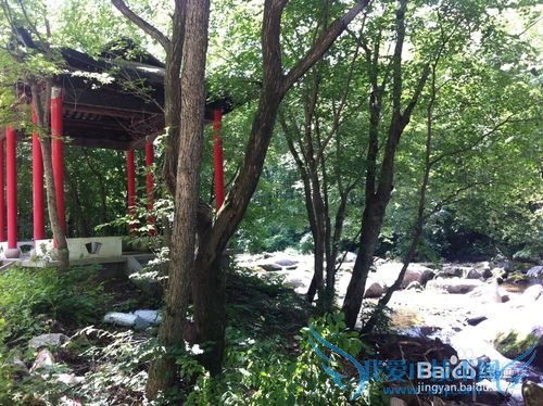 本溪洋湖沟森林公园旅游攻略