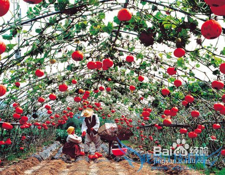 韩国旅游攻略介绍