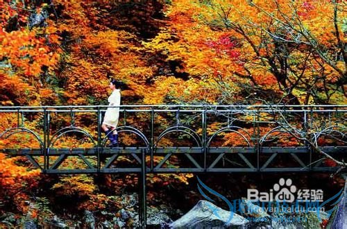 韩国旅游攻略介绍