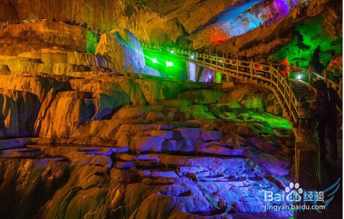 ������ʲô����ģ�����������