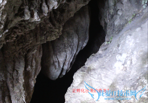 旅游景点我们遗漏了什么?