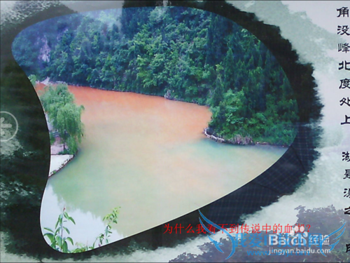 旅游景点我们遗漏了什么?