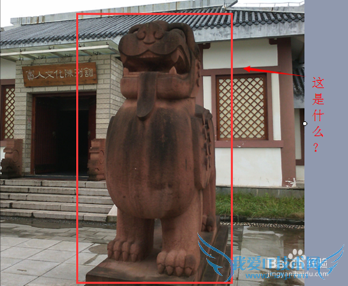 旅游景点我们遗漏了什么?