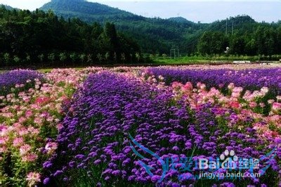 贵州省盘县旅游攻略