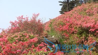 贵州省盘县旅游攻略