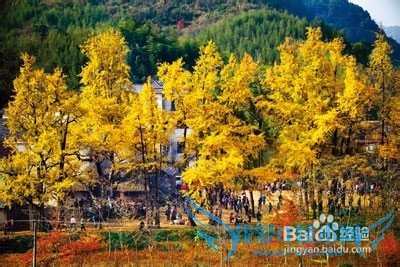 贵州省盘县旅游攻略