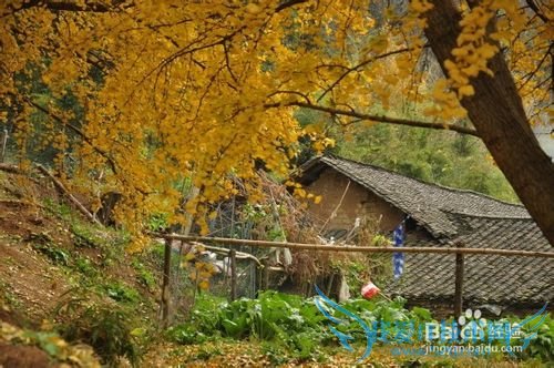 贵州省盘县旅游攻略