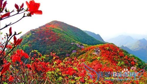 贵州省盘县旅游攻略