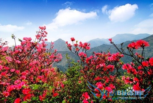 贵州省盘县旅游攻略