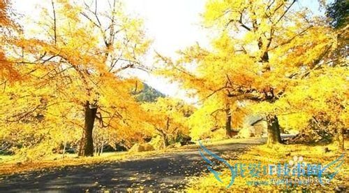 贵州省盘县旅游攻略