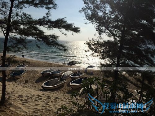 深圳西冲海滩旅游攻略