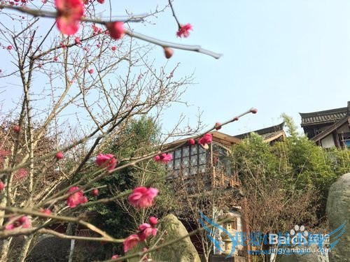 ËÄ´¨ÖØÇìËÄÈÕ×ÔÓÉÐÐ