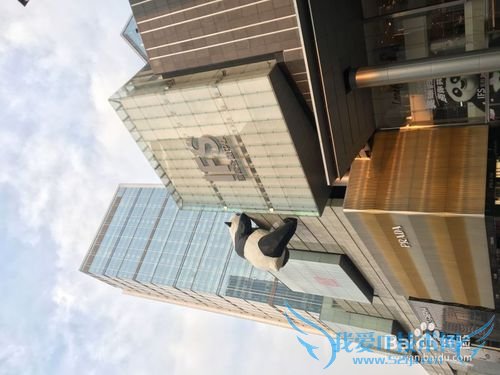 ËÄ´¨ÖØÇìËÄÈÕ×ÔÓÉÐÐ