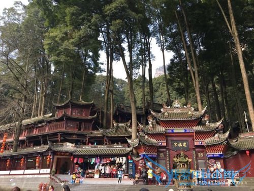 ËÄ´¨ÖØÇìËÄÈÕ×ÔÓÉÐÐ