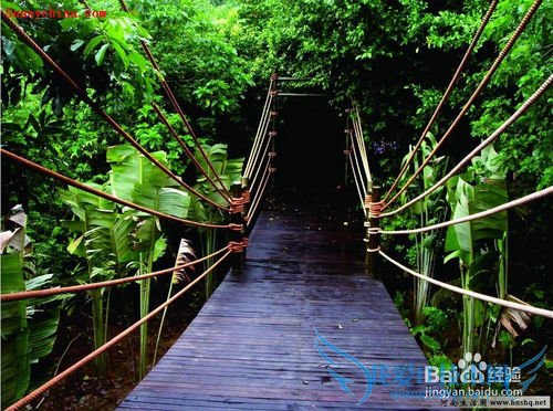 三亚旅行攻略:不能错过的几个景点