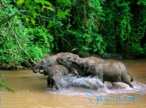 怎样去云南旅游度假