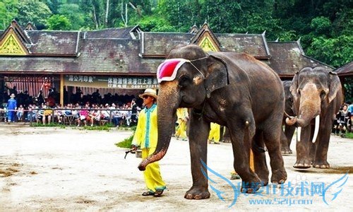 太原到云南旅游如何安排?