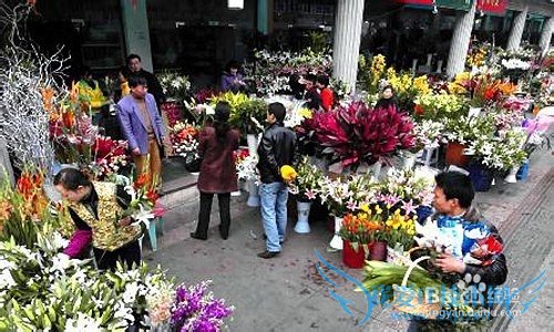 太原到云南旅游如何安排?