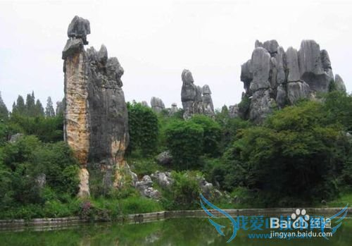 夏天去哪里旅游比较好中国十大避暑旅游城市