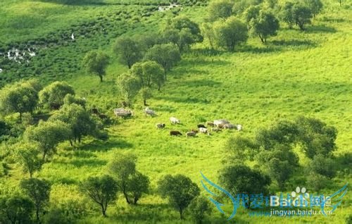 夏天去哪里旅游比较好中国十大避暑旅游城市