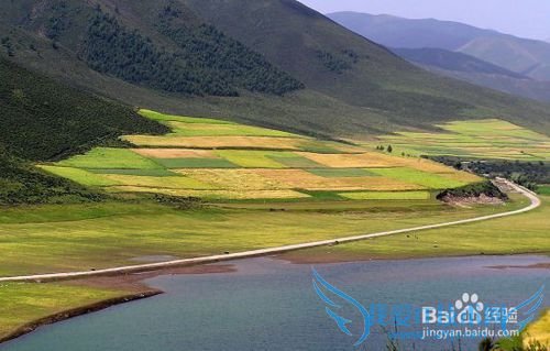 夏天去哪里旅游比较好中国十大避暑旅游城市