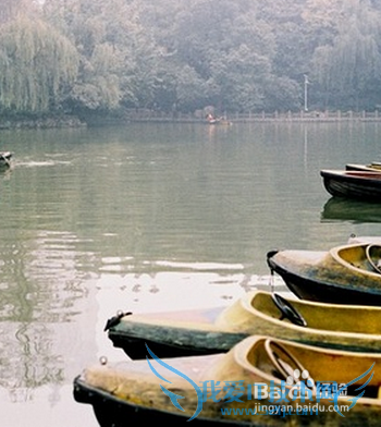 ÔõÑùÓγɶ¼ÈËÃñ¹«Ô°×îºÃ£¿