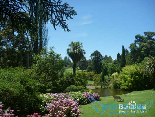 墨尔本city一日游攻略