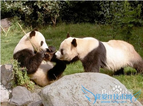 成都周边旅游攻略