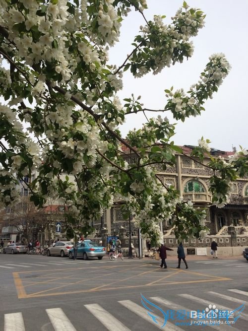 情侣天津旅游攻略