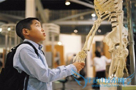 春季带孩子旅游,去哪儿?