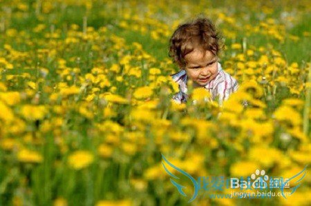 春季带孩子旅游,去哪儿?