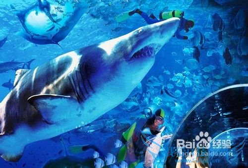 2012大连旅游攻略