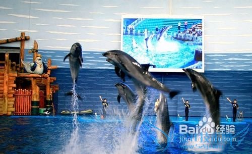 2012大连旅游攻略