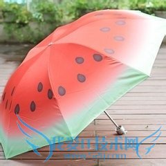 夏日旅游应必备那些