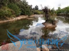 �ӹ㶫������ȥ������ʲô·�ߺ�