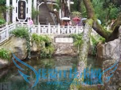 �ӹ㶫������ȥ������ʲô·�ߺ�