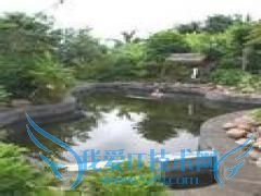 ����6���������·��