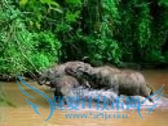 ����6���������·��