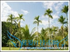 ����6���������·��