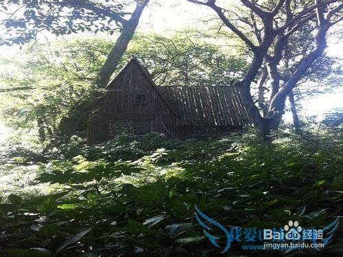 静谧中的秀丽:杭州花圃旅游攻略