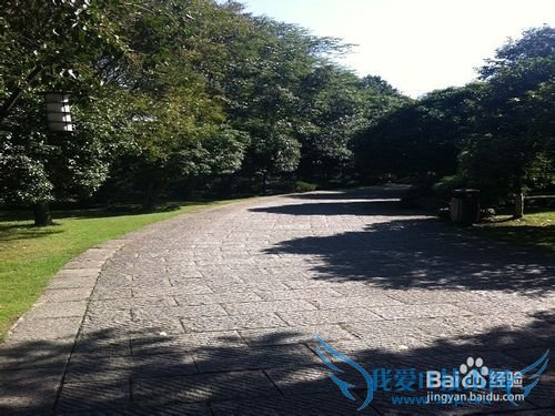 静谧中的秀丽:杭州花圃旅游攻略