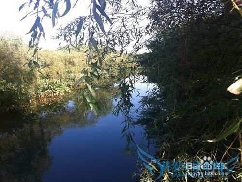 静谧中的秀丽:杭州花圃旅游攻略