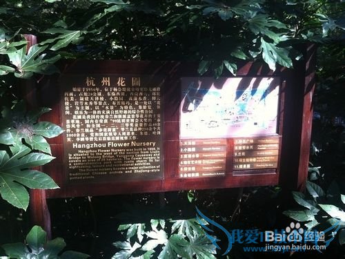 静谧中的秀丽:杭州花圃旅游攻略