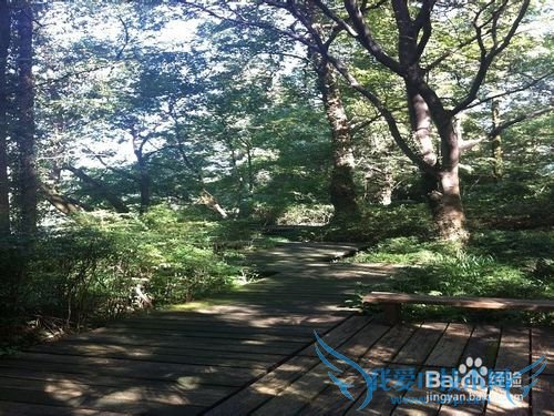 静谧中的秀丽:杭州花圃旅游攻略